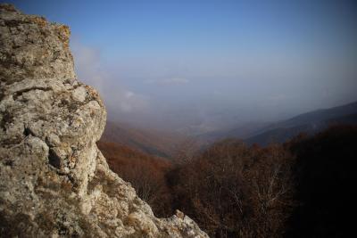 Прикрепленное изображение: clipboard_image_2ef74695.jpg